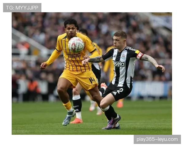 布莱顿王朝持续崛起，英超新贵强势表现引关注